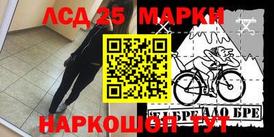 скорость Кингисепп