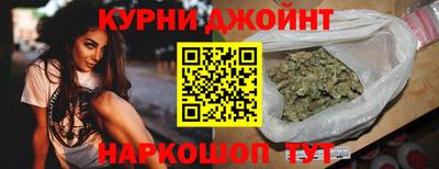 спиды Камышлов