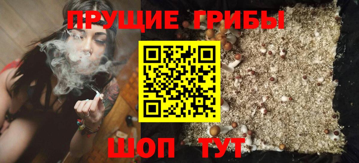 Псилоцибиновые грибы GOLDEN TEACHER Лабинск