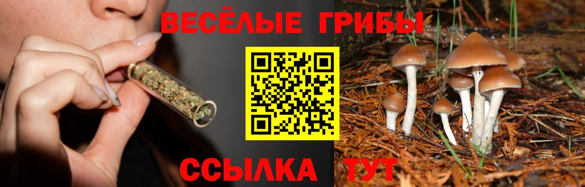 Псилоцибиновые грибы мухоморы  Вход с VPN  Лабинск  Галлюциногенные грибы мухоморы 