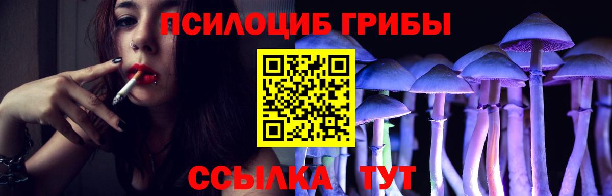 Лсд 25 Лабинск